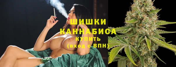 молекула духа Богданович