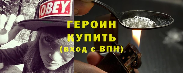 молекула духа Богданович