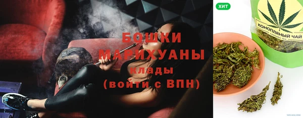 молекула духа Богданович