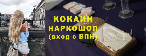 молекула духа Богданович
