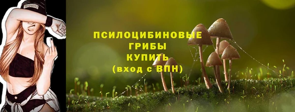 молекула духа Богданович