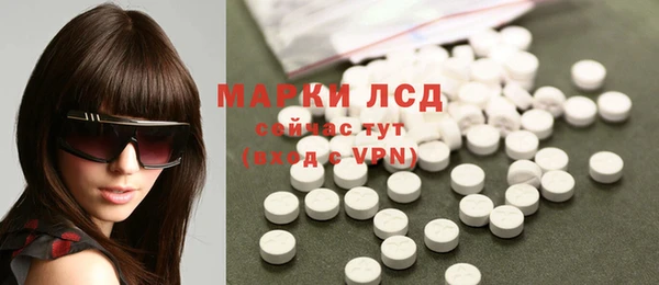 молекула духа Богданович