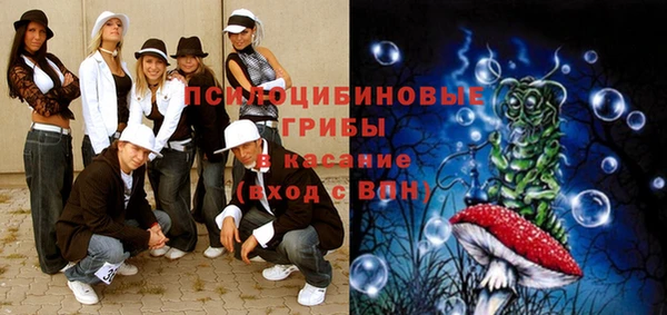 молекула духа Богданович