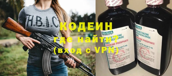 молекула духа Богданович