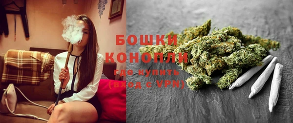 молекула духа Богданович