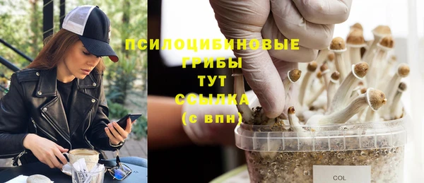 меф Богородицк