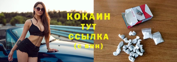 молекула духа Богданович